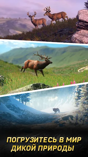 Hunting Rivals: Дикая Охота | Игры | XWorld