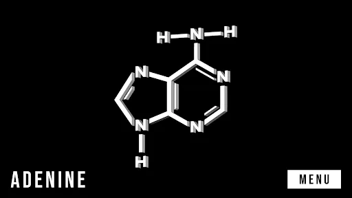 RNA Translation | เกม | XWorld