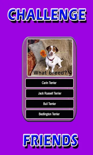 Dog Breeds Trivia Animal Quiz | 游戏 | XWorld