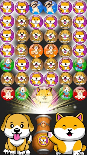 Dog Bubble Shooter | 游戏 | XWorld