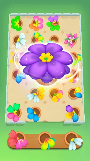 Blossom Match Sort Puzzle | เกม | XWorld