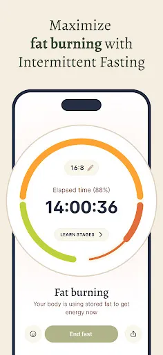 Forme Pelacak Puasa Intermiten | Permainan | XWorld