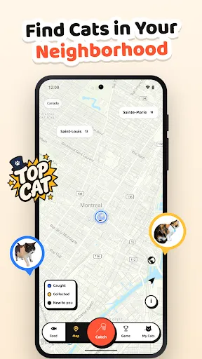 Cat Collector: Catch Real Cats | เกม | XWorld Cat Collector: Catch Real Cats | เกม | XWorld
