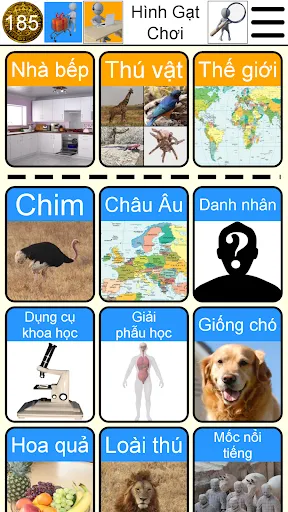 Hình Gat Chơi | Games | XWorld