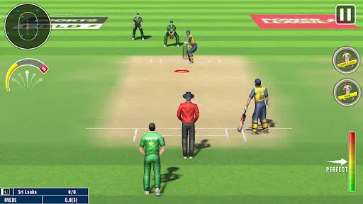 World Champion 3D Cricket Game | 游戏 | XWorld