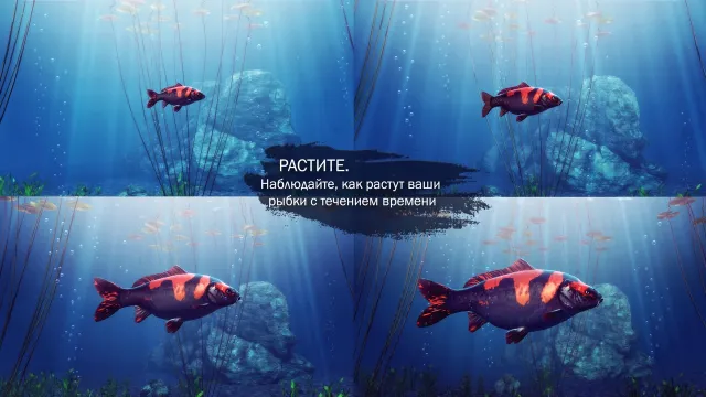 My Koi | Игры | XWorld