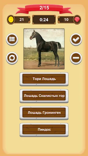 Лошади - Викторина | Игры | XWorld