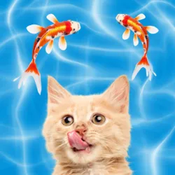 XWorld | Cat Games for Cats & Pets App