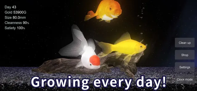 Goldfish - Aquarium Fish Tank | Permainan | XWorld