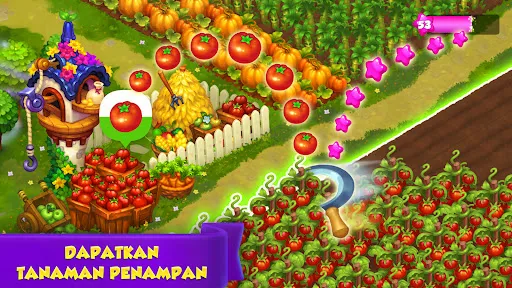 Royal Farm | Permainan | XWorld