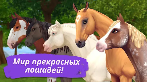 Star Stable Online | Игры | XWorld