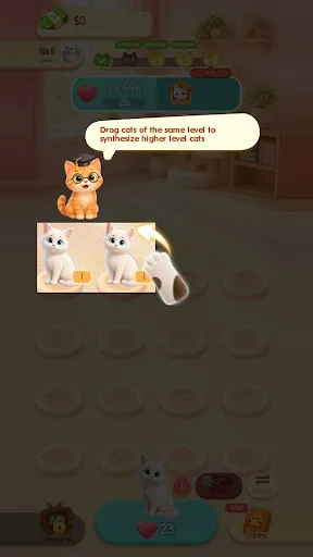 Merge Kitty World | Permainan | XWorld Merge Kitty World | Permainan | XWorld