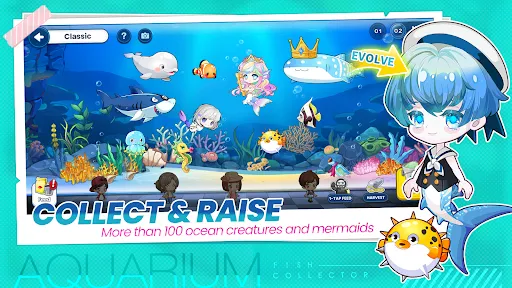 Fish Collector | Games | XWorld