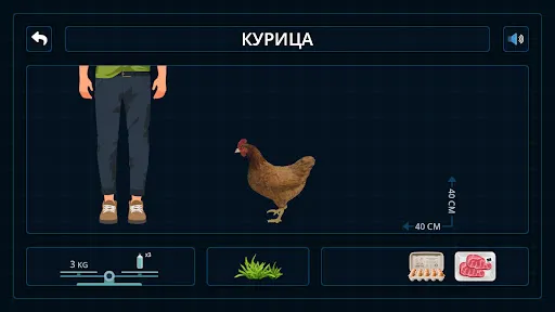 Животные на ферме 3D | Игры | XWorld