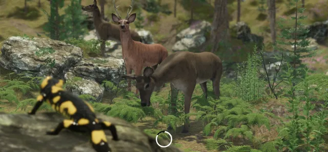 VR ZOO Safari Park Animal Game | 游戏 | XWorld VR ZOO Safari Park Animal Game | 游戏 | XWorld