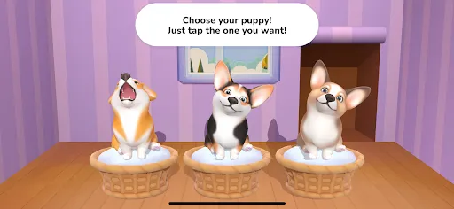 ZenCorgi: Puppy Pet Dog Games | 游戏 | XWorld