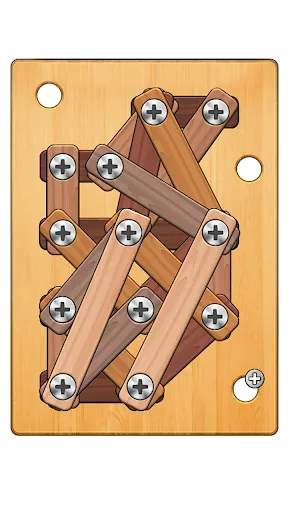 Wood Puzzle Nuts & Bolts | juego | XWorld