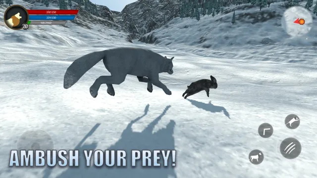 Arctic Wolf Survival Simulator | 游戏 | XWorld