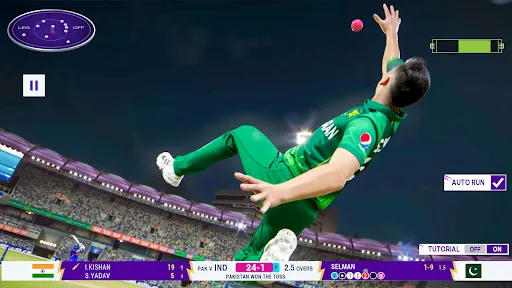 Cricket Smash Championship | Games | XWorld