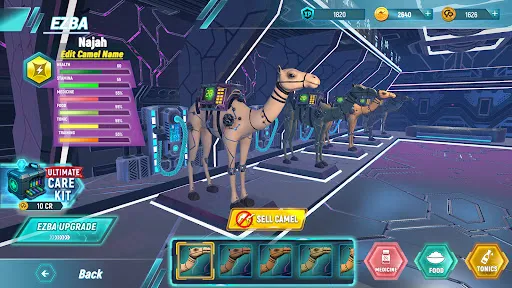 Camel Rally | 游戏 | XWorld