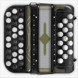 XWorld | Accordion Chromatic Cassoto XWorld | Accordion Chromatic Cassoto