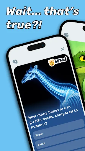 WTFact: Mind-Blowing Quiz Game | 游戏 | XWorld WTFact: Mind-Blowing Quiz Game | 游戏 | XWorld