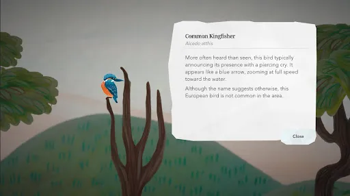 Junior Birder Adventure | Permainan | XWorld Junior Birder Adventure | Permainan | XWorld