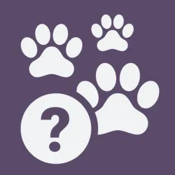 XWorld | Quiz School | Dog breeds