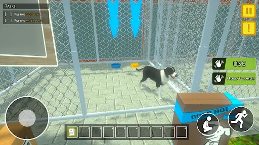 Animal Shelter Pet World Life | 游戏 | XWorld