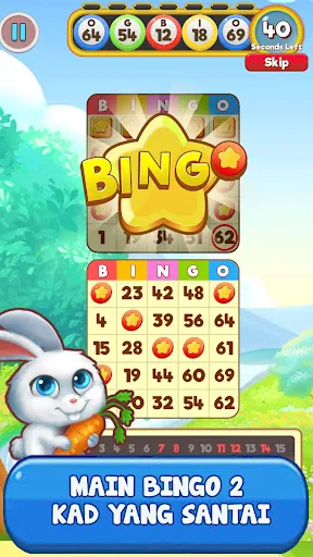 Bingo: Free the Pets | Permainan | XWorld