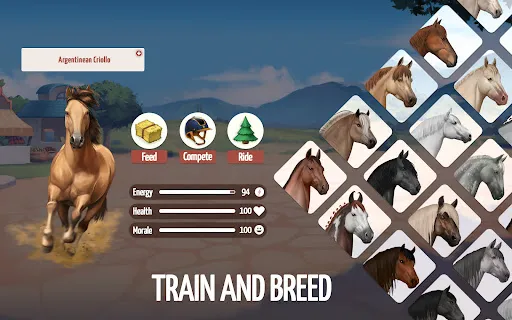 Howrse - Horse Breeding Game | Games | XWorld Howrse - Horse Breeding Game | Games | XWorld