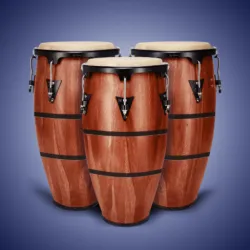 XWorld | Real Percussion: drum set