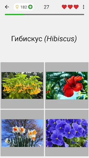 Цветы - Викторина по ботанике | Игры | XWorld