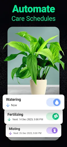 Plantum - Plant Identifier | 游戏 | XWorld