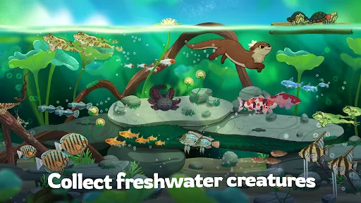 Pondlife — Fish, Frogs & More! | Games | XWorld Pondlife — Fish, Frogs & More! | Games | XWorld