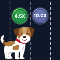 XWorld | Cross - Cross 1000x