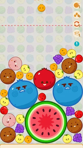 Melon Chill: Fruit Drop | Games | XWorld