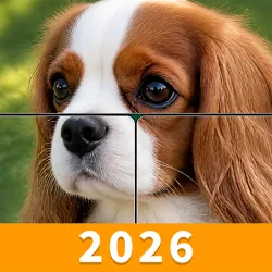 XWorld | Drop Jigsaw: Solitaire Puzzle