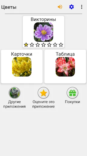 Цветы - Викторина по ботанике | Игры | XWorld