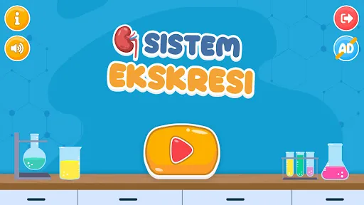 Virtual Lab Sistem Ekskresi | เกม | XWorld