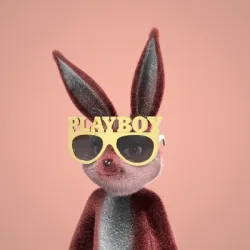 XWorld | Playboy Rabbitars Official