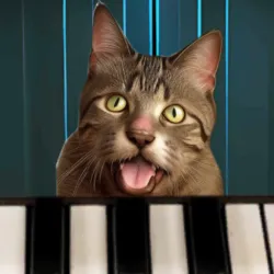 XWorld | Pop Cat Piano