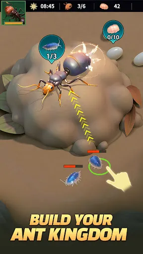 Ant Kingdom: Survival War | Permainan | XWorld