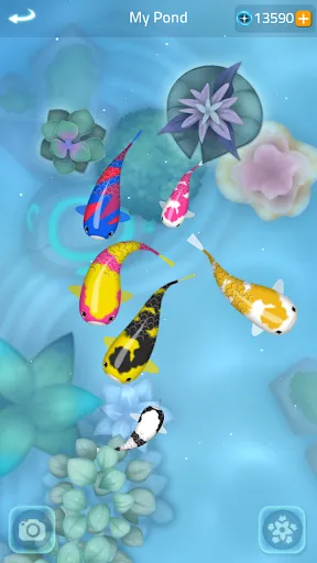 Zen Koi 2 | เกม | XWorld