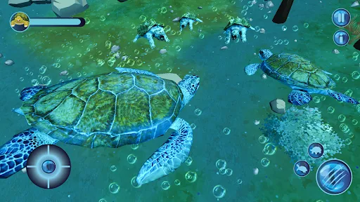 Ocean turtle tortoise Sea Game | Игры | XWorld