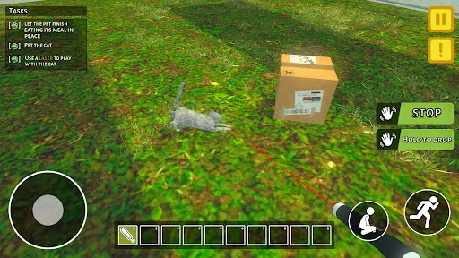 Animal Shelter Pet World Life | 游戏 | XWorld