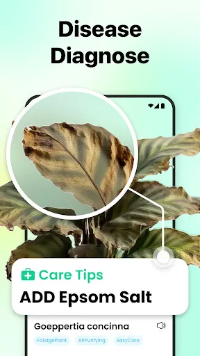 LensIQ - Scanner & Identifier | 游戏 | XWorld
