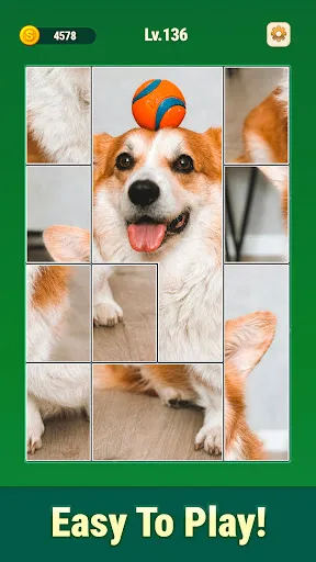 Jigmerge Puzzles | 游戏 | XWorld