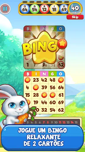 Bingo: Free the Pets | Jogos | XWorld