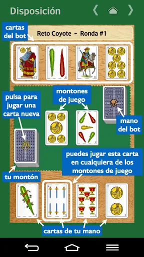 Rápido Don Naipe | juego | XWorld